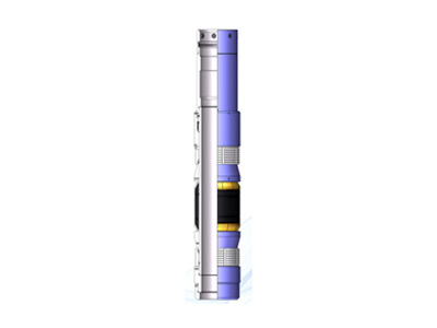 PHS Sump Packer
